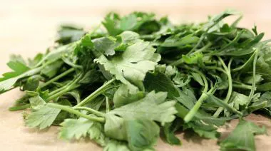 garnishing-instructions-image